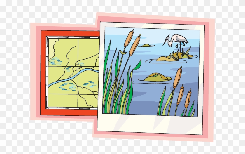 Guide To Plants And Animals - Picture Frame Clipart #4661529