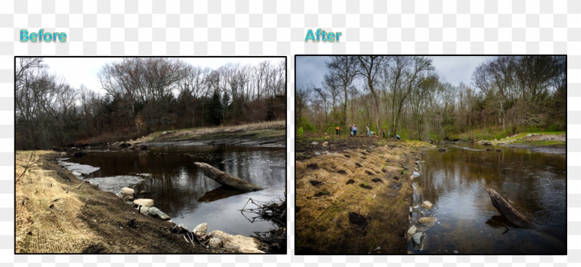 Hp2 - Freshwater Marsh Clipart