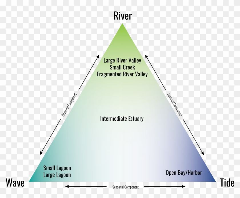 Many Of Southern California's Wetlands Have, Or Historically - Triangle Clipart #4662677