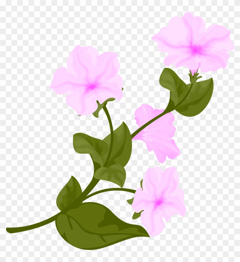 Narciso Flor Rosa Hojas Png E Imagen Vectorial - Vector Graphics Clipart