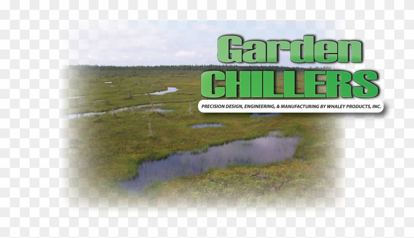 Floating Plants And Submerged Aquatic Plants Are Similar - Freshwater Marsh Clipart