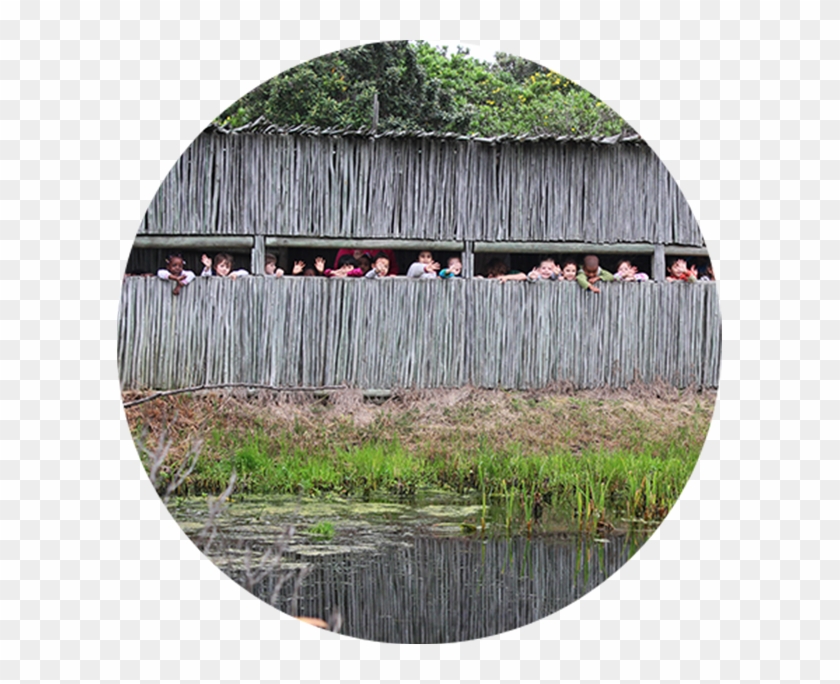 Photography - Bird Hides For Photography Clipart