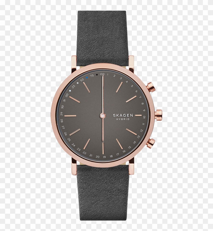 Skagen Hald Gray Leather Hybrid Smart Watch Clipart #4662917