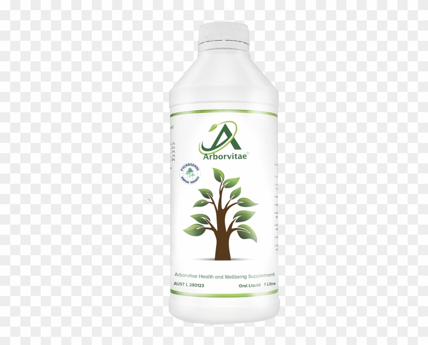 Arborvitae Health And Wellbeing Supplement - パル システム 石鹸 食器 洗剤 Clipart #4662984