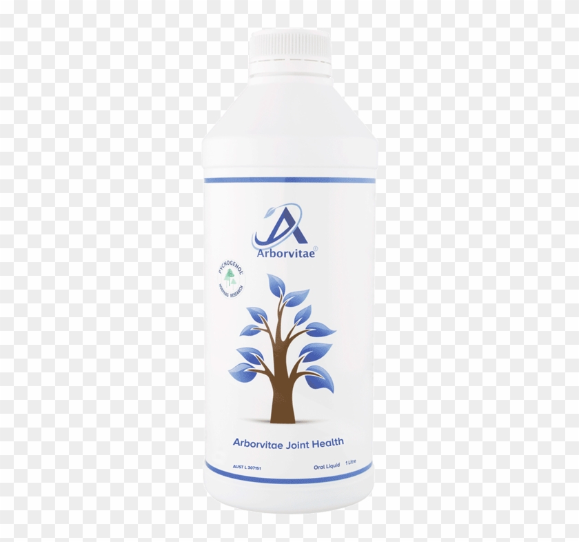 Arborvitae Joint Health Supplement - Arborvitae Joint Health Clipart #4663048