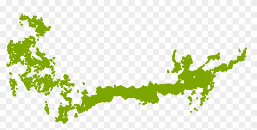 Fire Chief Arborvitae Grows Well In Zone 6a - Graphics Clipart #4663248