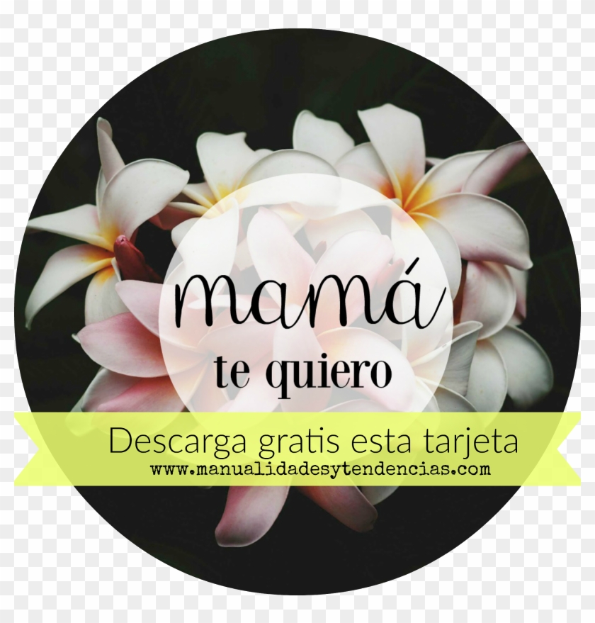 Tarjeta Para El Día De La Madre Flores - Dobranoc Dla Niej Clipart