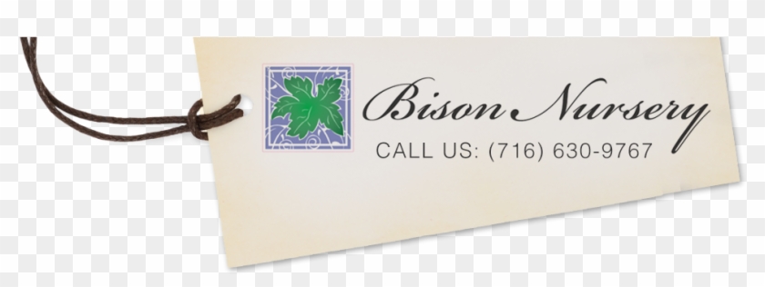 Bison Nursery Logo - Label Clipart