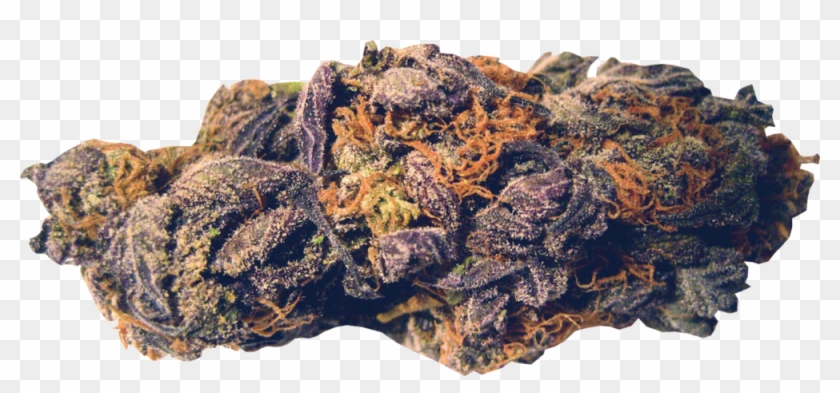 Og Kush Nugget - Black Beauty Strain Clipart #4663925