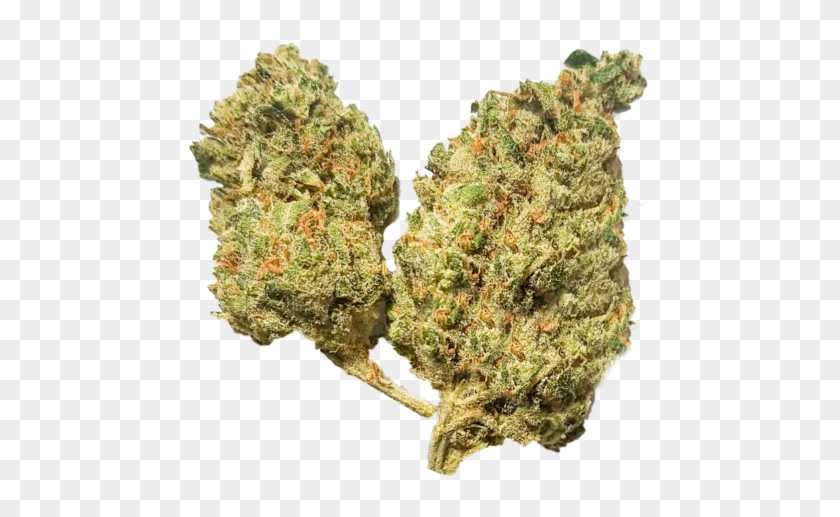 Blackberry Widow - Thuya Clipart #4664673