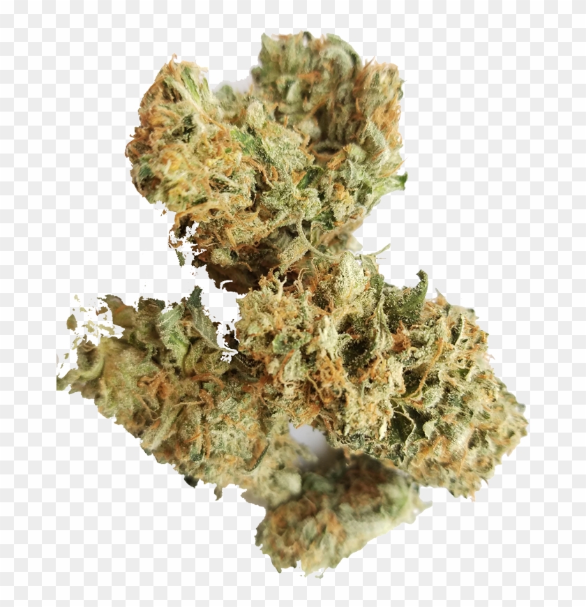 Customer Appreciation Buy My Online - Hornwort Clipart