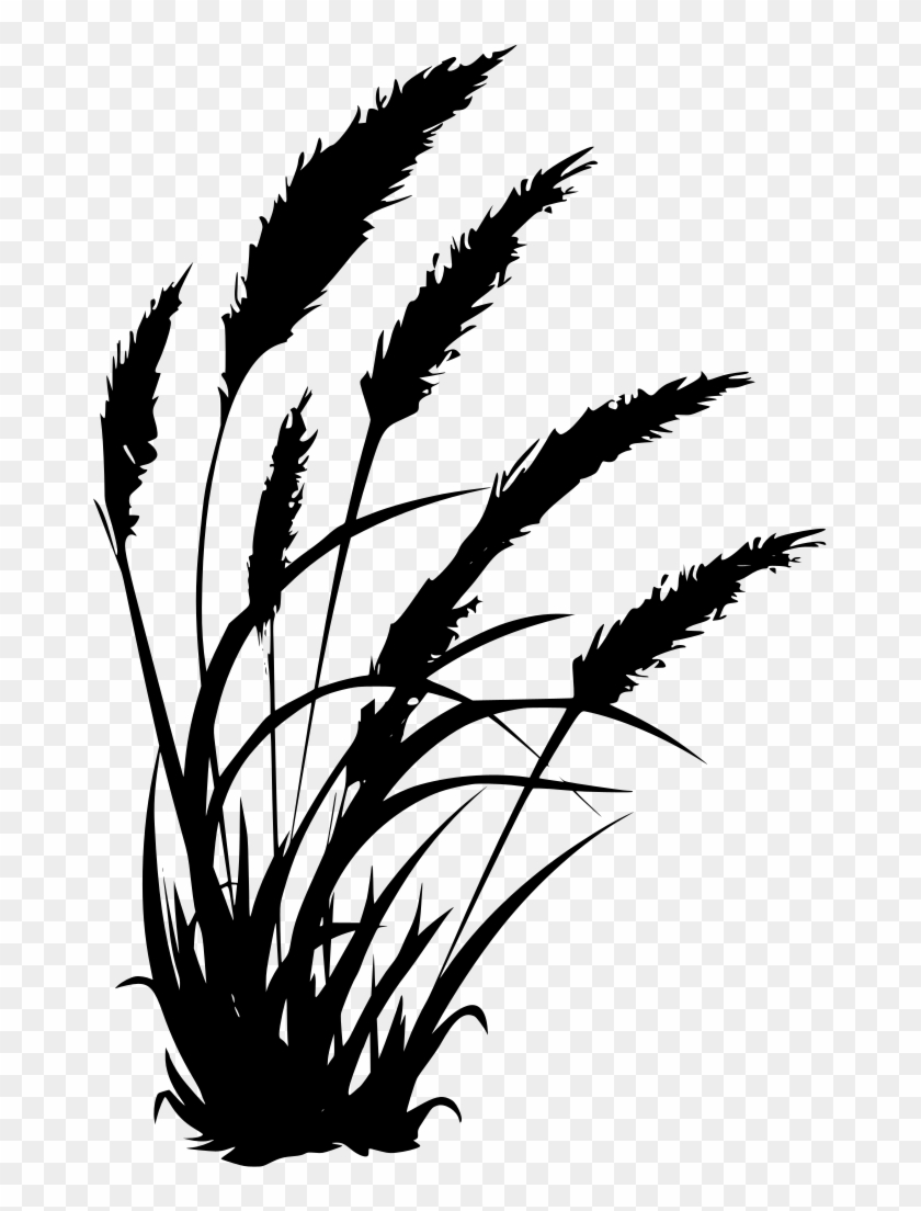 Transparent Pampas Grass Png Clipart