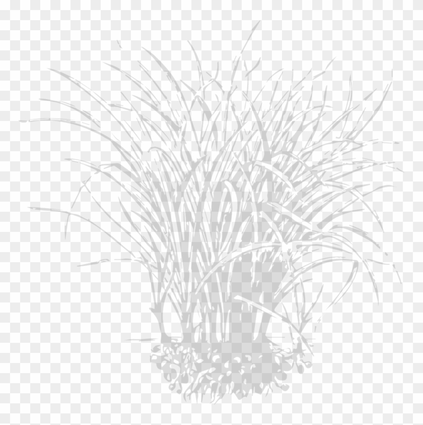 Aligned Partners - Erdmandel Clipart #4665322