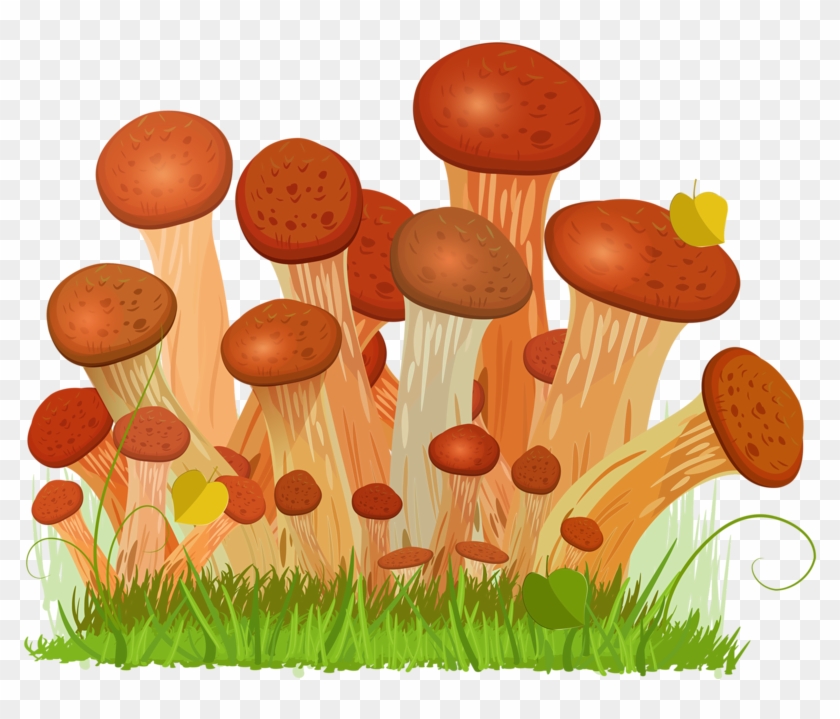 Honey Fungus Edible Mushroom Euclidean Vector Drawing - Honey Fungus Clipart