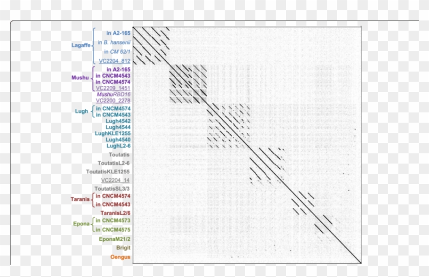 Whole Genome Dot Plot Of The 23 F - Monochrome Clipart