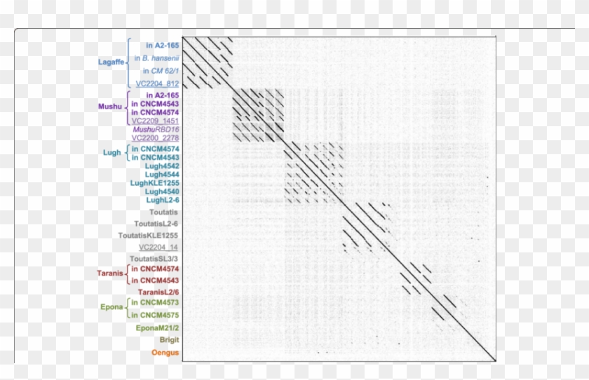 Whole Genome Dot Plot Of The 23 F - Monochrome Clipart #4666453
