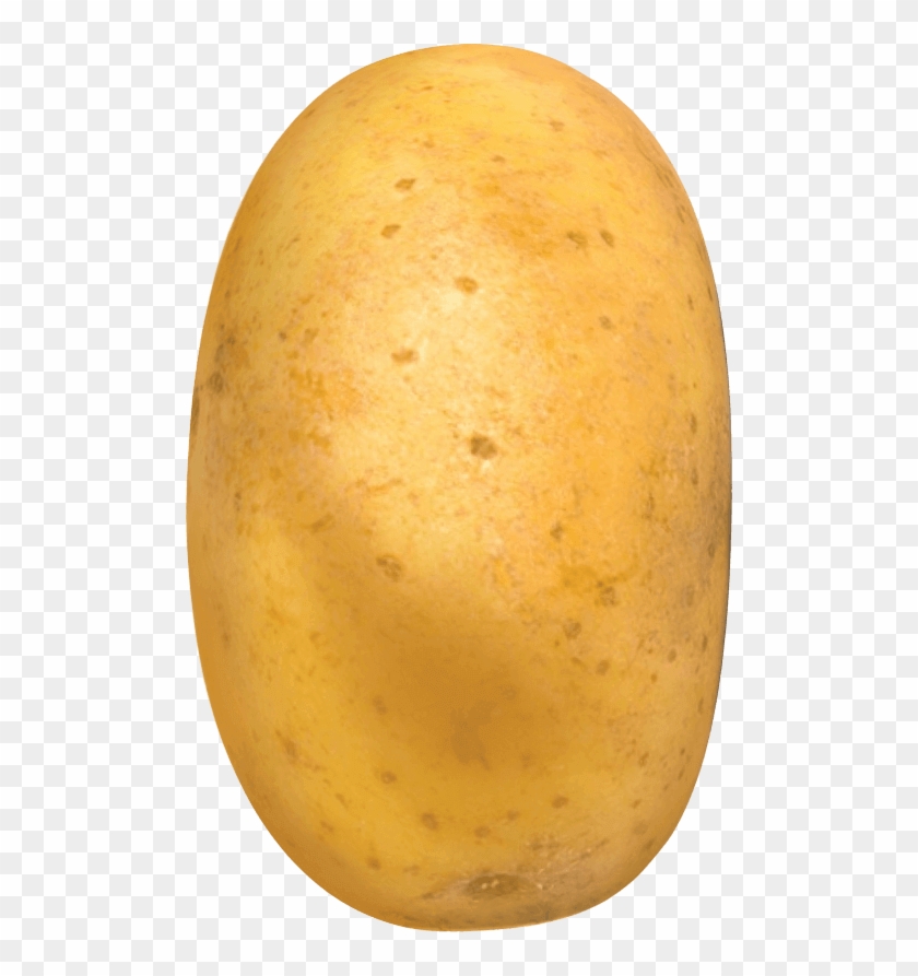 Potato Clipart
