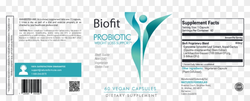 Nopal Png , Png Download - Online Advertising Clipart