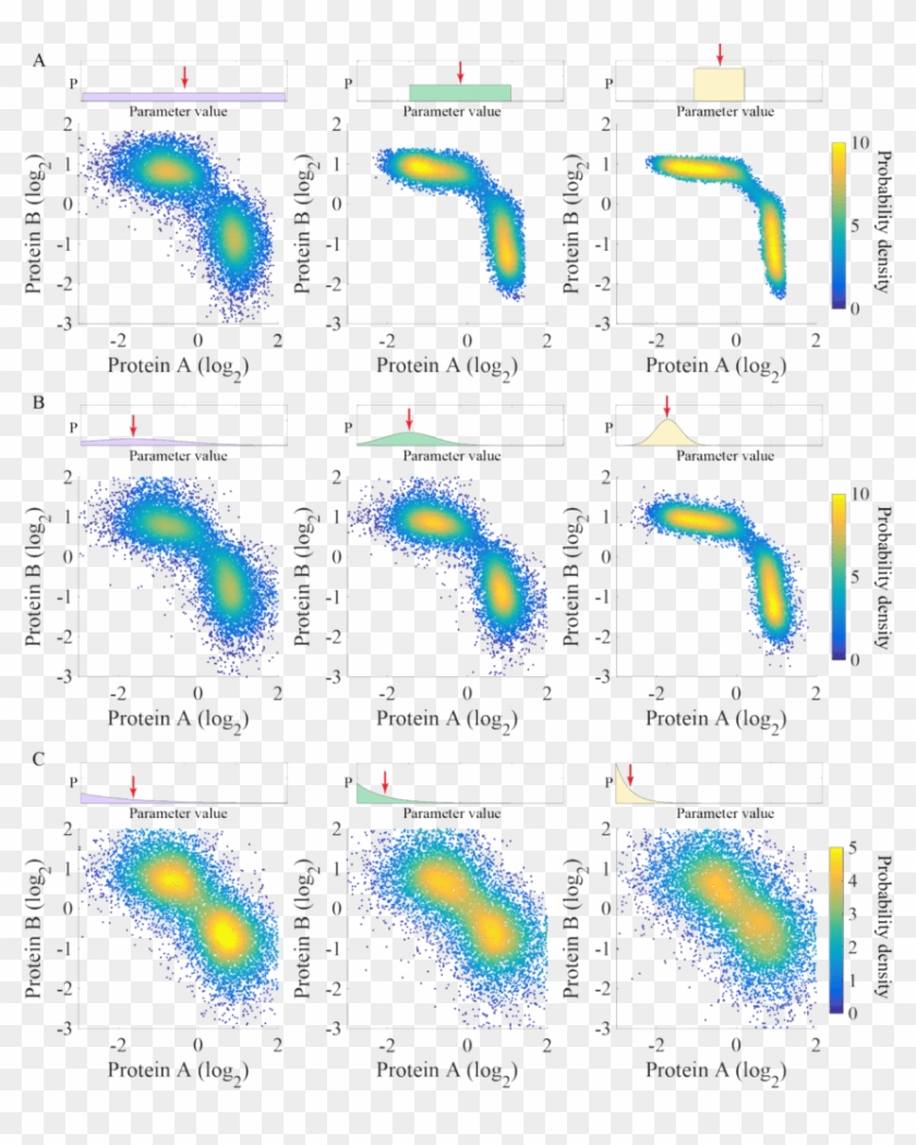 The Gene States Of The Toggle-switch Motif Are Robust - Map Clipart