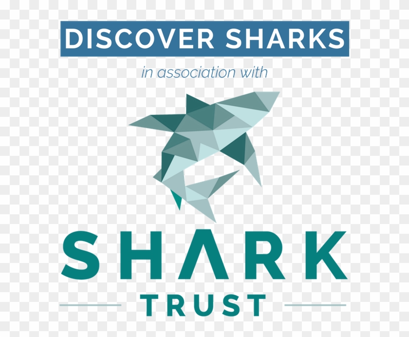 Shark Trust Logo - Graphic Design Clipart #4671765