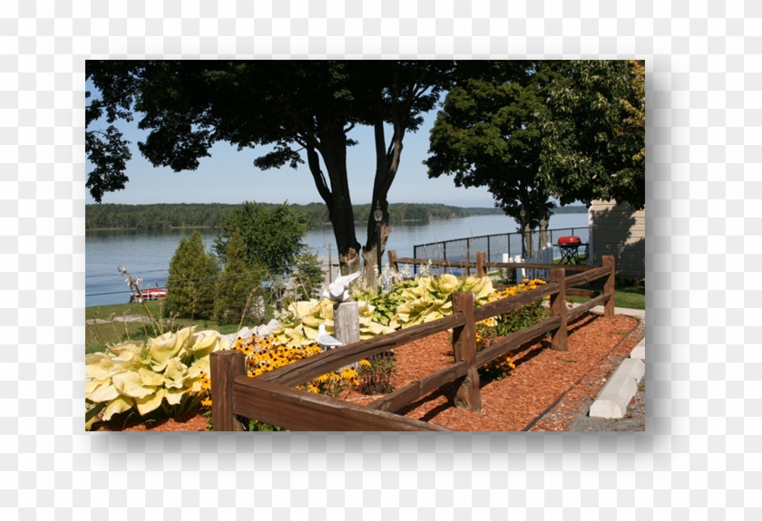 Where Memories Are Made Experiencing A Reminiscent - Yard Clipart