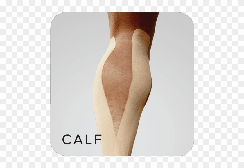 X30 Phiten Titanium Power Tape Roll Calf - Wood Clipart