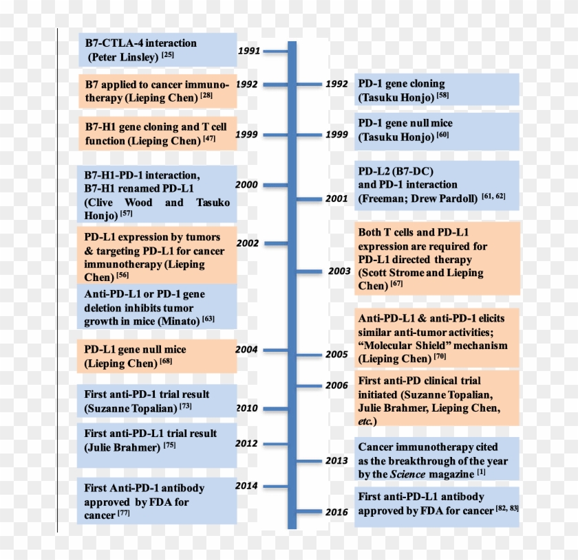 Timeline For Major Events Leading To The Development - Pd 1 Fda Approval Clipart