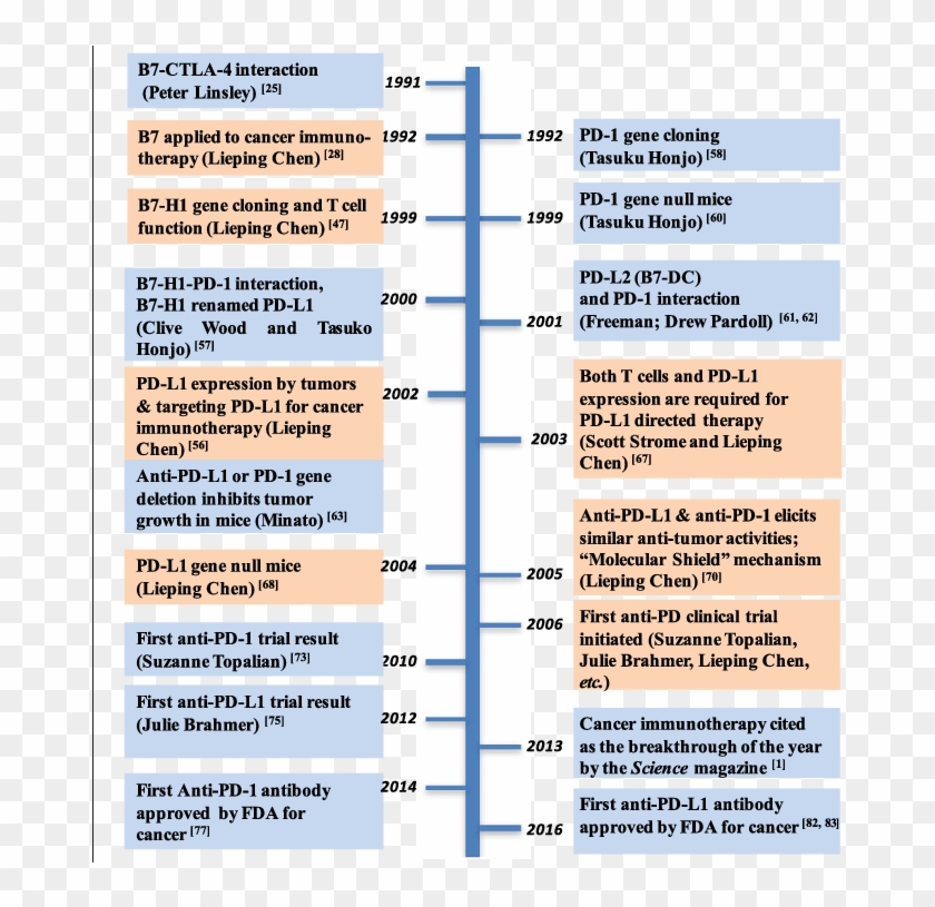 Timeline For Major Events Leading To The Development - Pd 1 Fda Approval Clipart #4675480