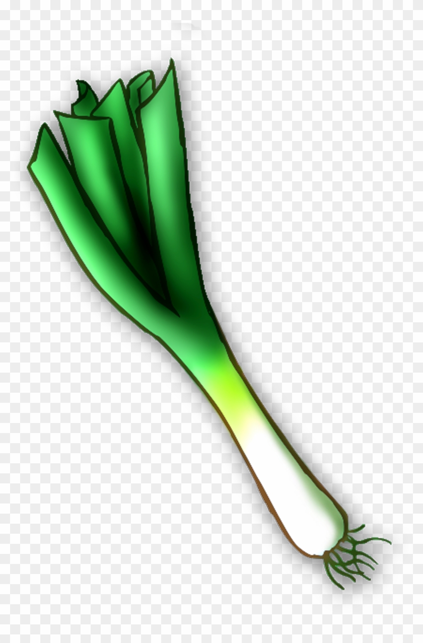 Wales, Vegetable, Leek, Plant, Flower Png Image With - Leek Clipart Png Transparent Png #4676372