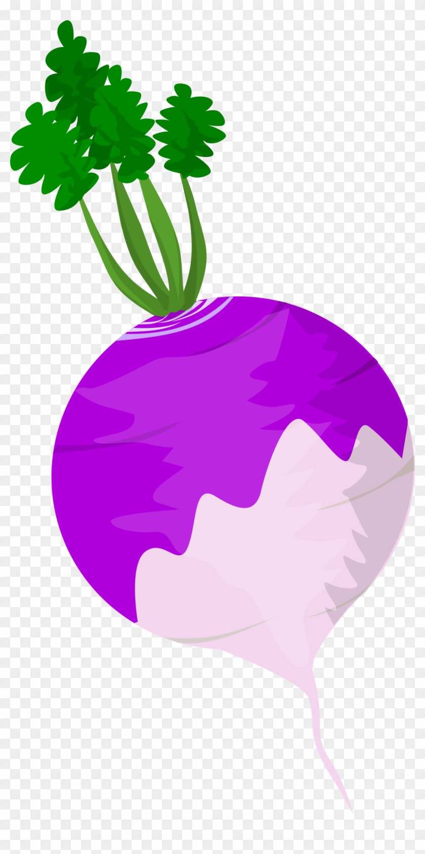 Vegetables Clipart Turnip - Clip Art Of Turnip - Png Download #4676508