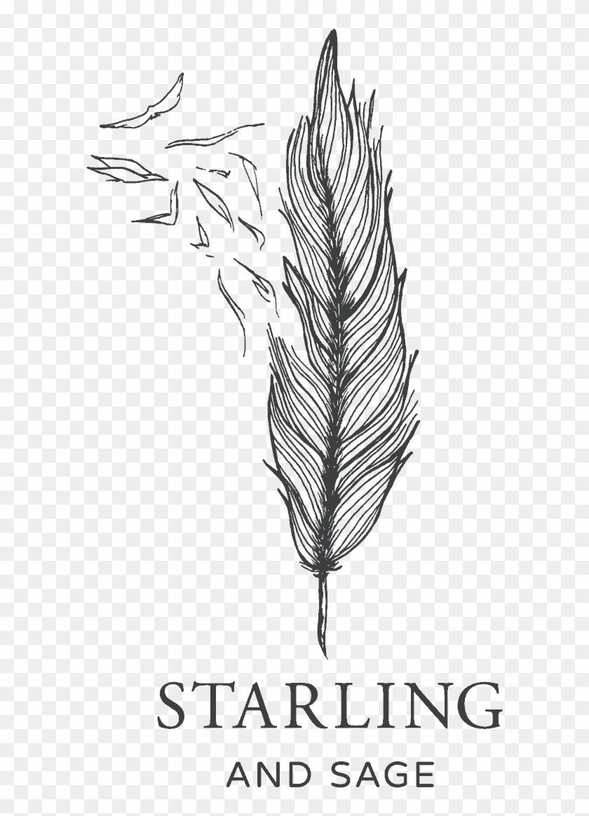 Mississippi Outline Png - Sketch Clipart