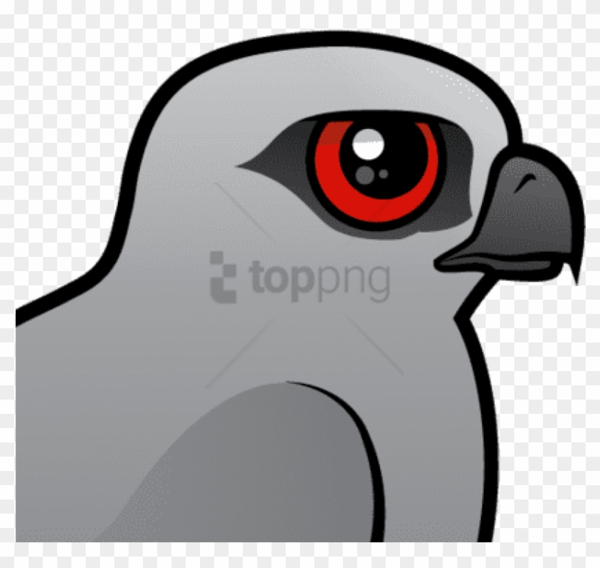 Free Png The Mississippi Kite Is A Medium Sized Bird - Cartoon Clipart #4676857