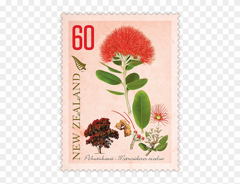 Pohutukawa - Postage Stamp Clipart #4678467