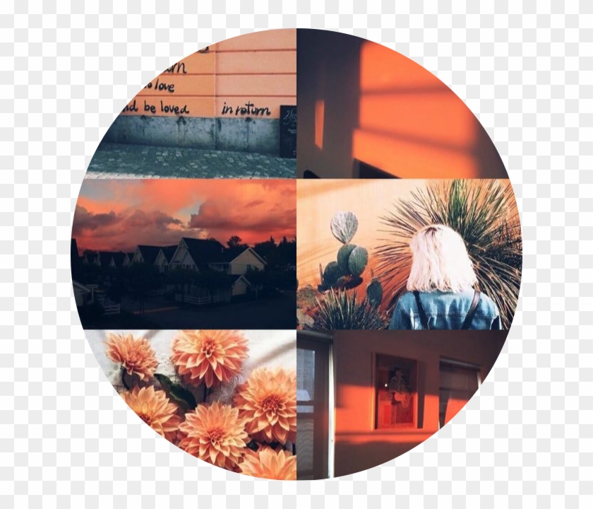 Fullsize Of Orange Aesthetic Tumblr - Charlotte Name Aesthetic Clipart #4678873
