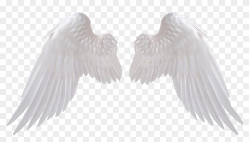 #icon #white #angel #angels #angelbaby #w #h #i - Angel Wings Png Hd Clipart