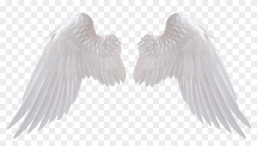 #icon #white #angel #angels #angelbaby #w #h #i - Angel Wings Png Hd Clipart #4678945