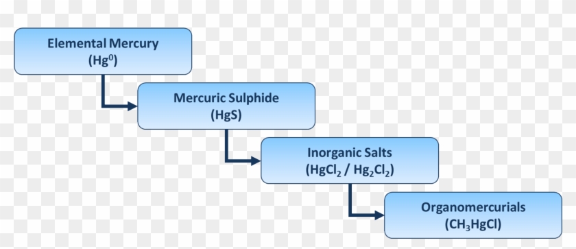 Mercury Is Particularly Problematic To The Oil And - Organic And Inorganic Mercury Clipart