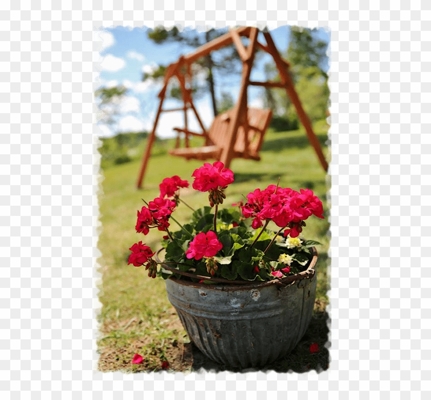 Takes You Back To When Life Was Not So Busy - Begonia Clipart #4681574