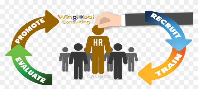 Recruitment Process Png Clipart
