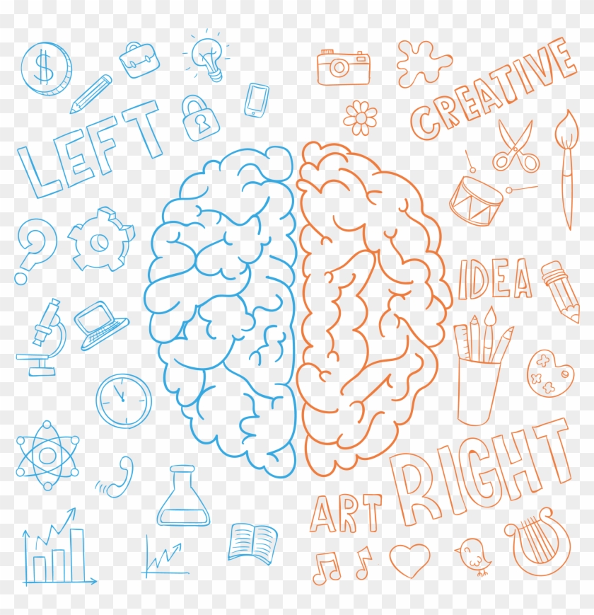Lateralization Of Brain Function Drawing Human Brain - Curiosidades Sobre O Cerebro Clipart