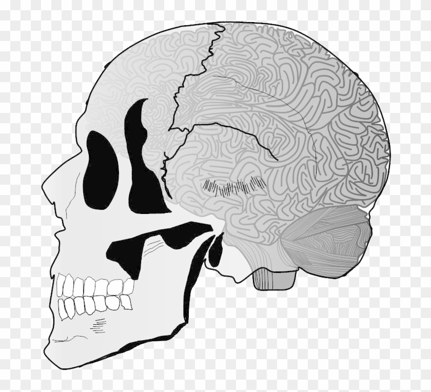 Illustration Clipart