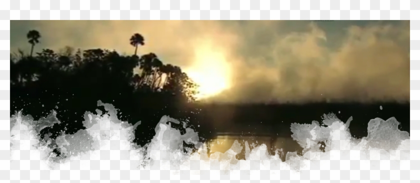 Other, Less Common Creatures That Might Sometimes Be - Tree Clipart