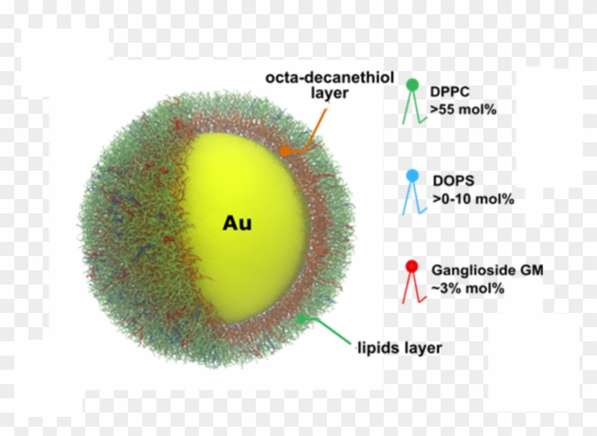Loading Slideshow - - Circle Clipart #4689375