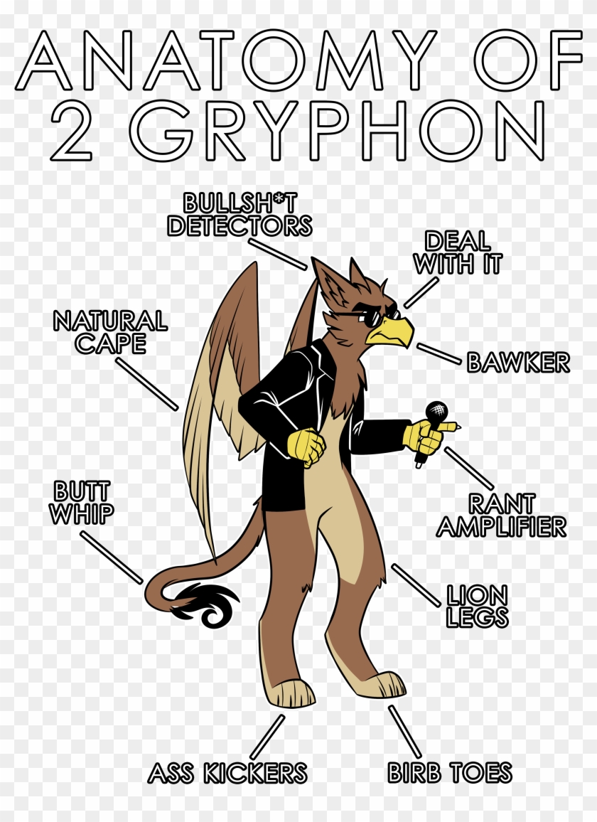 Anatomy Of A Birb Clipart