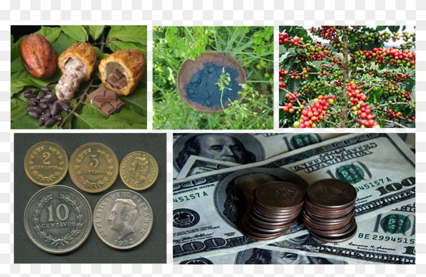 Monedas Y Billetes En Dolares Clipart