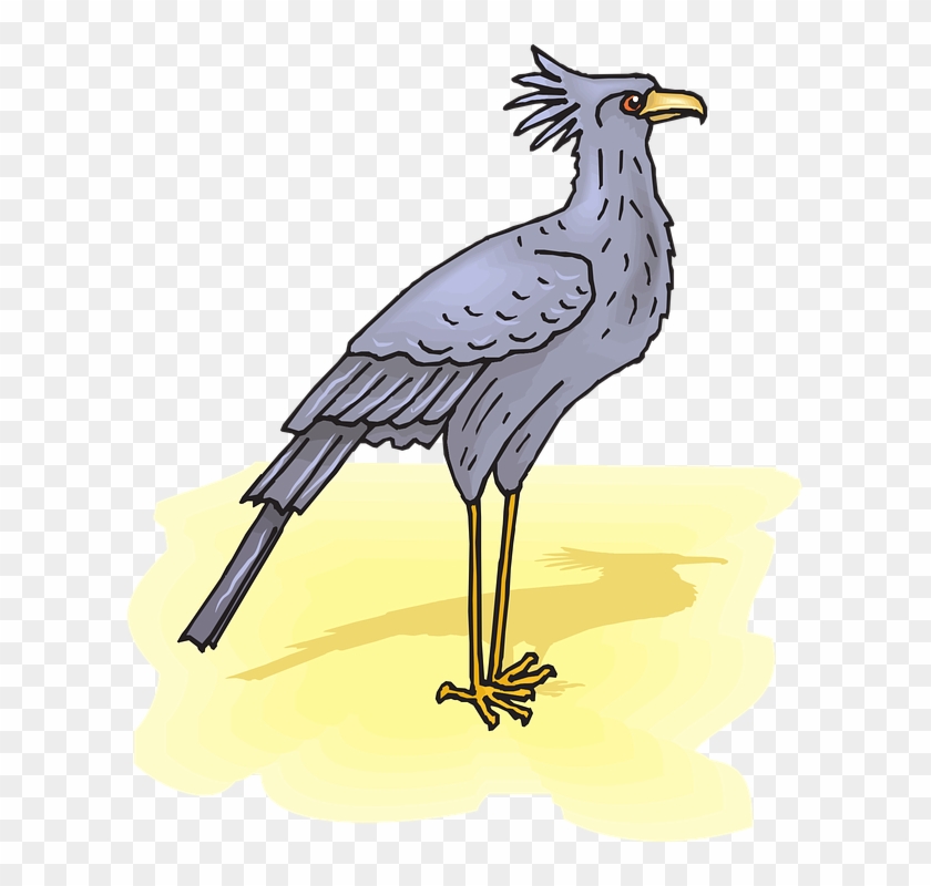 Secretary Bird Sand Shadow Wings Feathers - Secretary Bird Transparent Clipart #4693871
