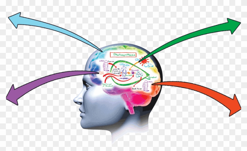 The Memory Guru Of India - Improving Memory Clipart #4695437