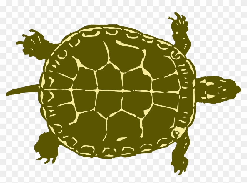 Turtle Tank Size Calculator - Tortoise Clipart #4696978