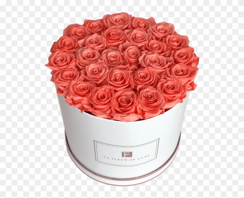 Prev - Garden Roses Clipart #4698956