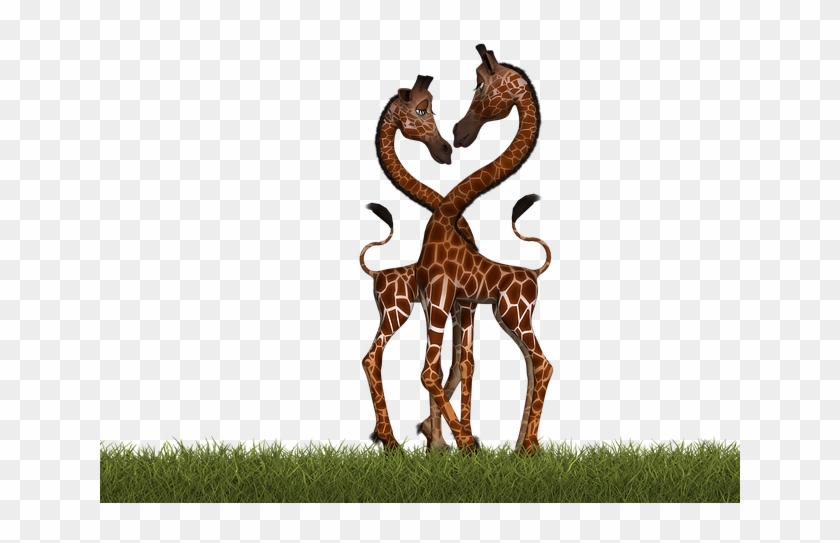 Funny Two Giraffes Clipart #4699012
